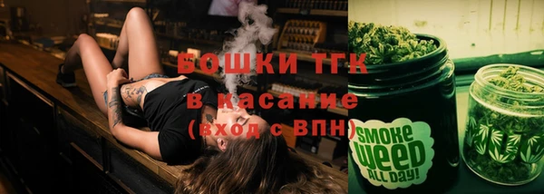 шишки Чекалин
