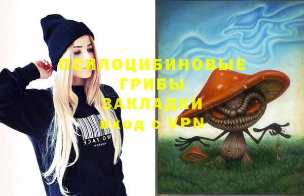 МДПВ Чердынь