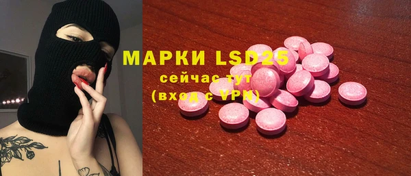 шишки Чекалин