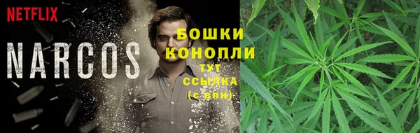 прущий лед Шадринск