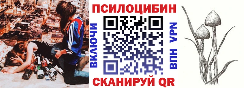 Купить  Меленки  Псилоцибиновые грибы мицелий 